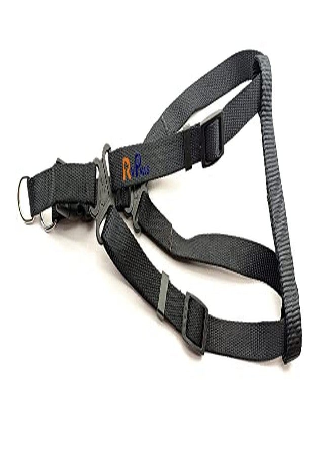 Pups&Pets طقم مقود قابل للتعديل من النايلون مقاس 15 مم مع حزام صدر مقاس 0.5 بوصة من Pups&Pets للكلاب الصغيرة والمتوسطة - أسود - Image 2